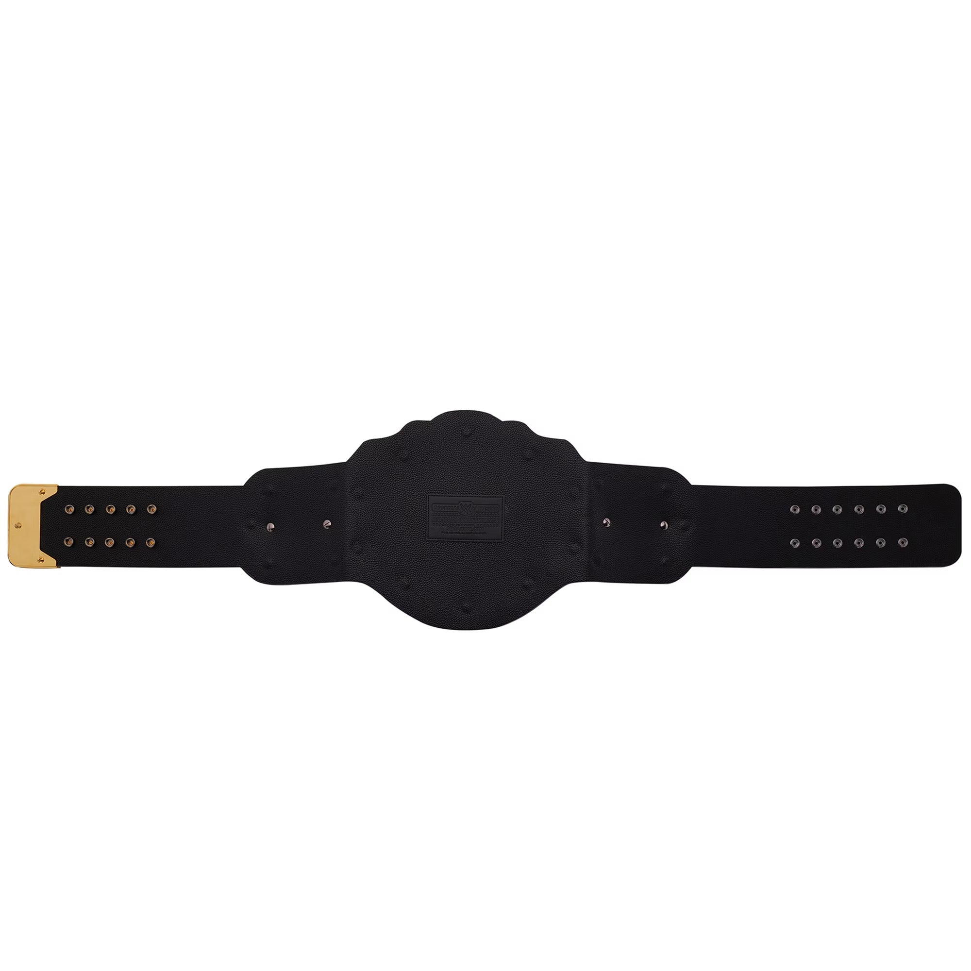 W World Heavyweight Championship Replica Title Belt – Premium Wrestling Championship Belt, Adult Size, Collector & Fan Edition